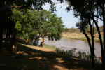 Oliphant River ved Mpala